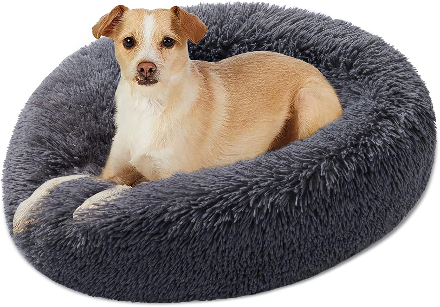 Can You Put Dog Beds In The Washer