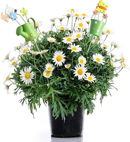 Miniatura 2 de Paquete de 5 púas de metal para jardín de 10 pulgadas, estacas decorativas para plantas en maceta, regadera pequeña con estaca floral de animales,