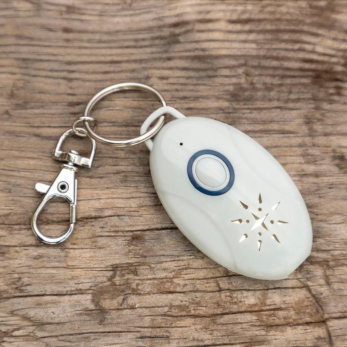 Repellente ad Ultrasuoni Portatile Anti-Zecche e Chip, Portachiavi Elettronico Antizanzare e Insetti per Animali, Campeggio e All'aperto