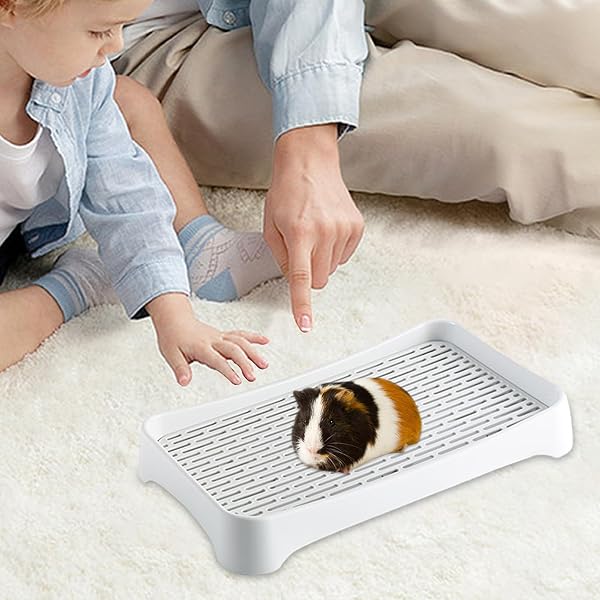 Bac À Litière pour Lapin, Toilettes pour Lapins pour Petits Animaux, Bac A Litière De Potty Trainer pour Animaux De Compagnie - 3