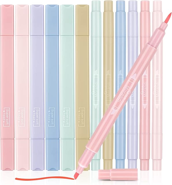 FANTESI 12 Pcs Pastel Aesthetic Highlighter, Duals Tips Highlighters No Bleed Dry Fast Marker Pen for Journal Bible Planner Notes School Office Supplies( light color)