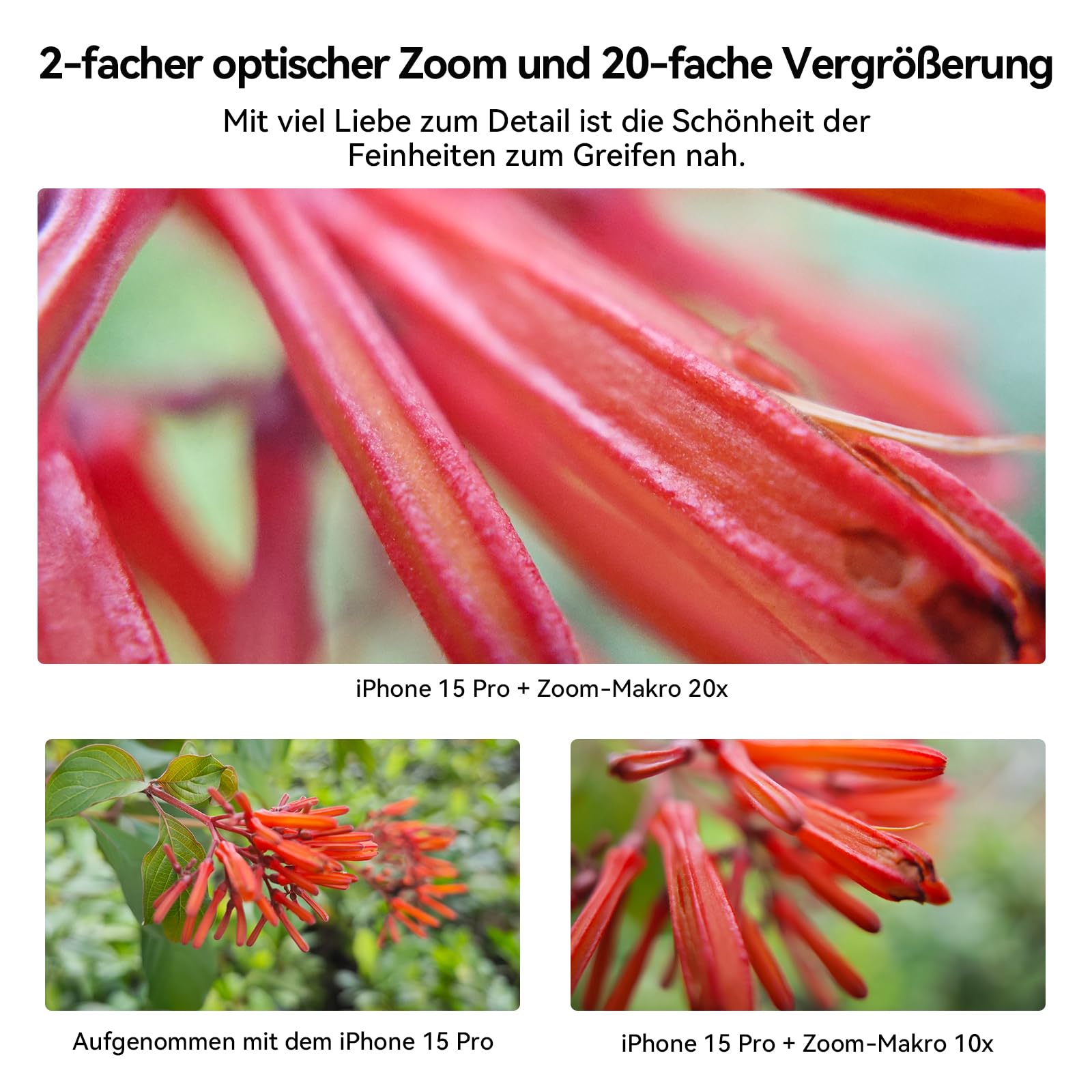 APEXEL Verbessertes ZM100 Ultra-HD Handy Makroobjektiv, F1.05 Blendenöffnung, maximale Vergrößerung 20x, Smartphone-Makroobjektiv, geeignet für die meisten Mobiltelefone