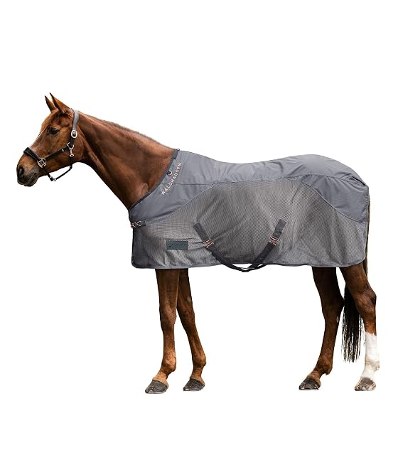 Waldhausen Manta antimoscas para lluvia Comfort, gris, 115 cm
