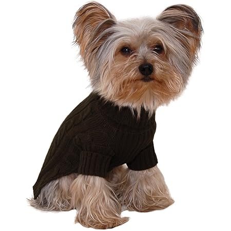 dog wearing turtleneck