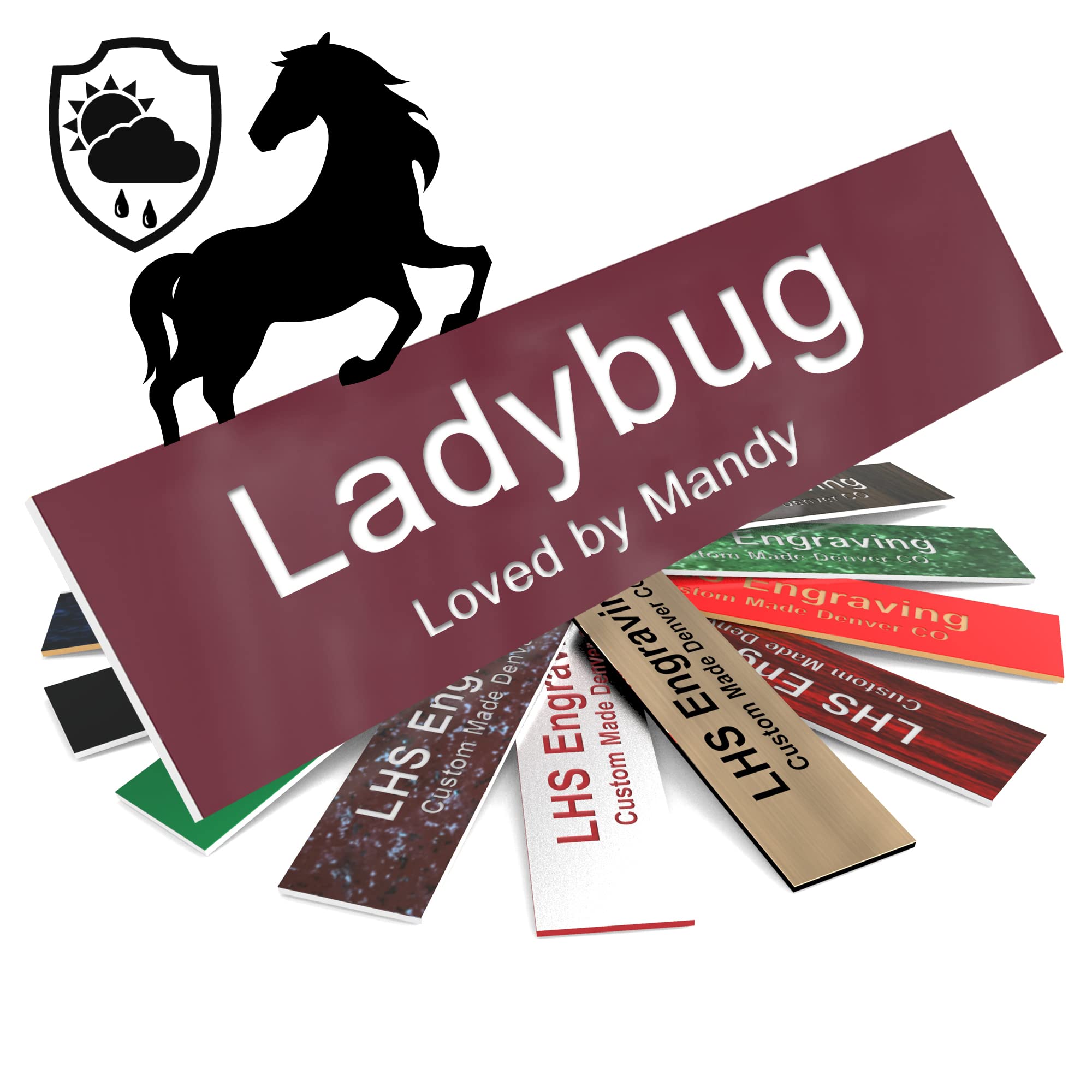 LHS Engraving Horse Stall Name Plate - stable supplies | Mubboo