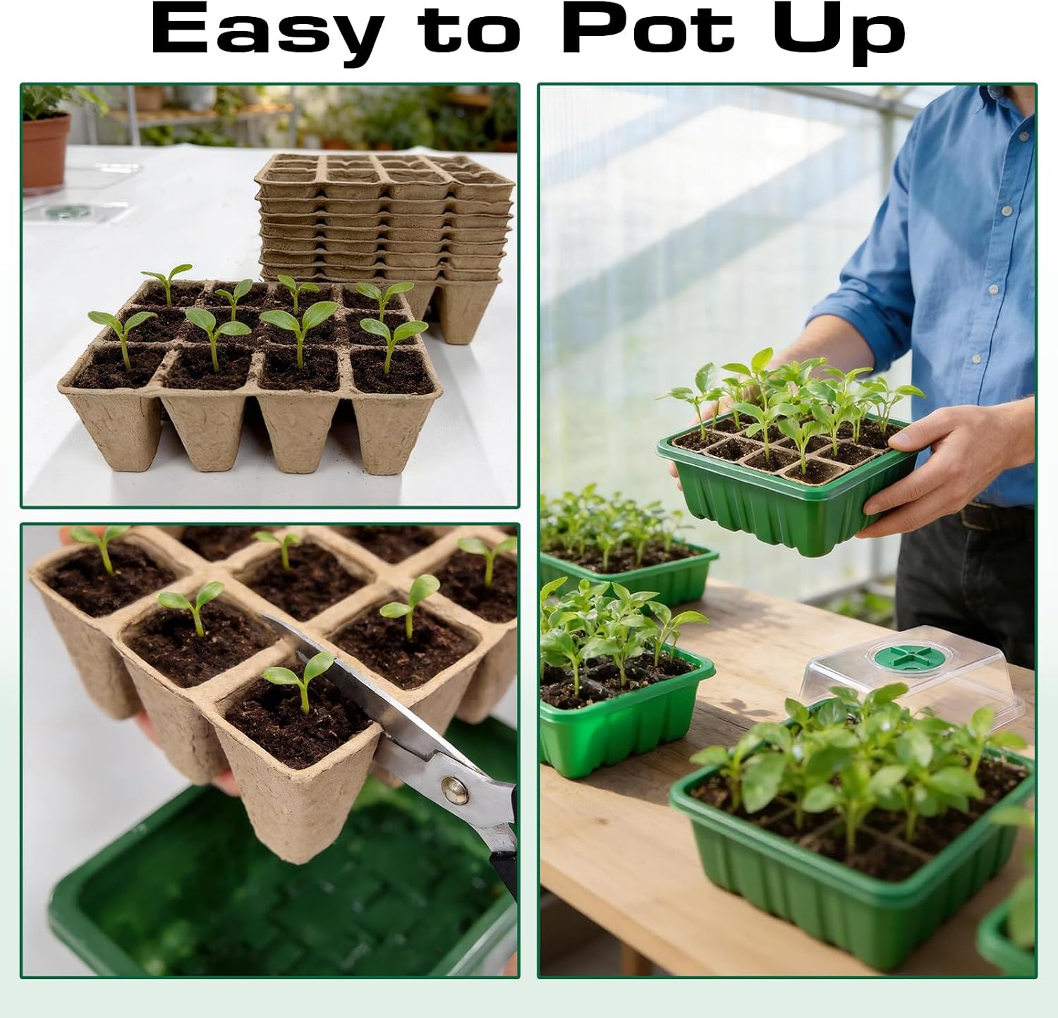 Seed Starter Tray Kit 10 Pack, Seed Starting Trays with Humidity Dome (120 Cells Total), Plant Germination Trays Complete Mini Greenhouse for Seed Growing & Seedlings