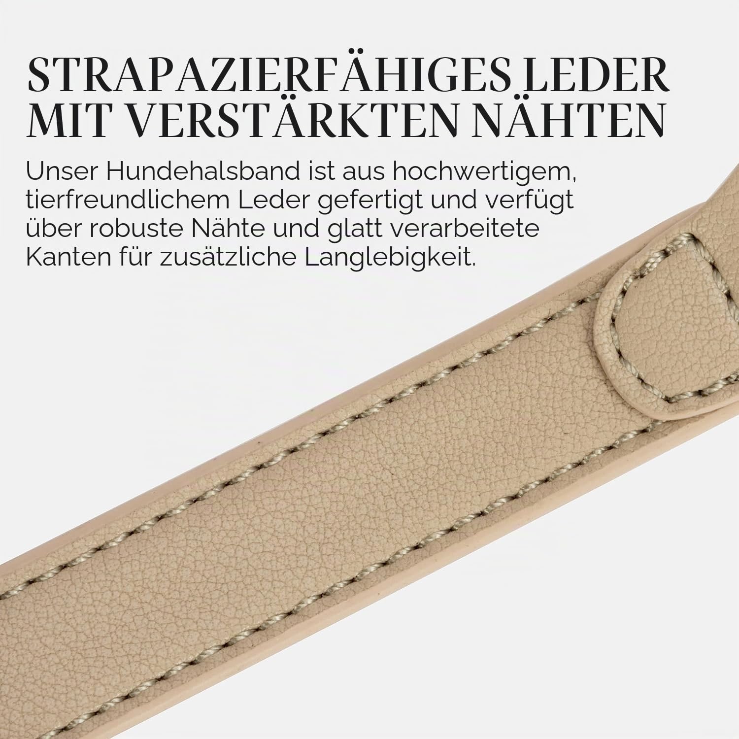 Nina Woof Cupertino Hundehalsband aus veganem Leder, gepolstert und verstellbar mit Tracker-Halterung, Beige, Größe M (Hals 38-48 cm)