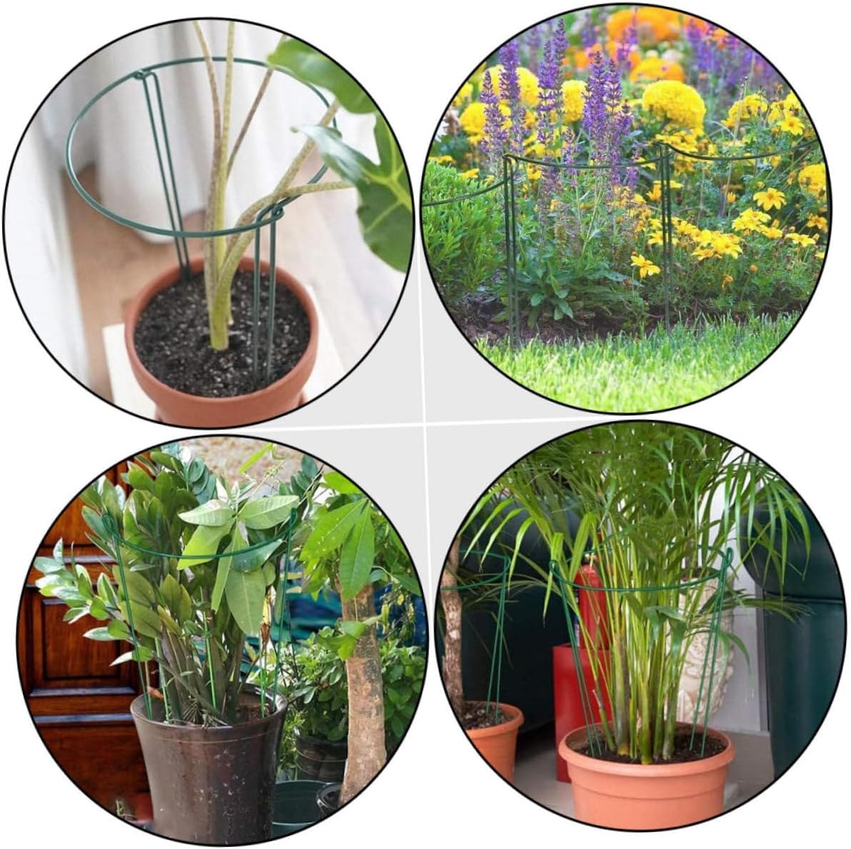 6pcs Plant Support Stands Flower Trellis Potted Plant Supports Half Round Design