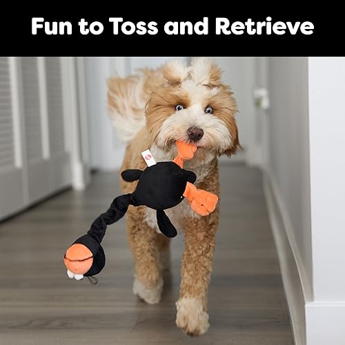 Miniatura 5 de SPOT Juguete para perros Ethical Plush Chirpies Surtido de pájaros de 14 pulgadas