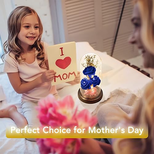 Miniatura 5 de oridom Regalo de flores preservadas, rosa iluminada en cúpula de cristal, regalos de flores eternas para ella, abuela, día de la madre, día de San