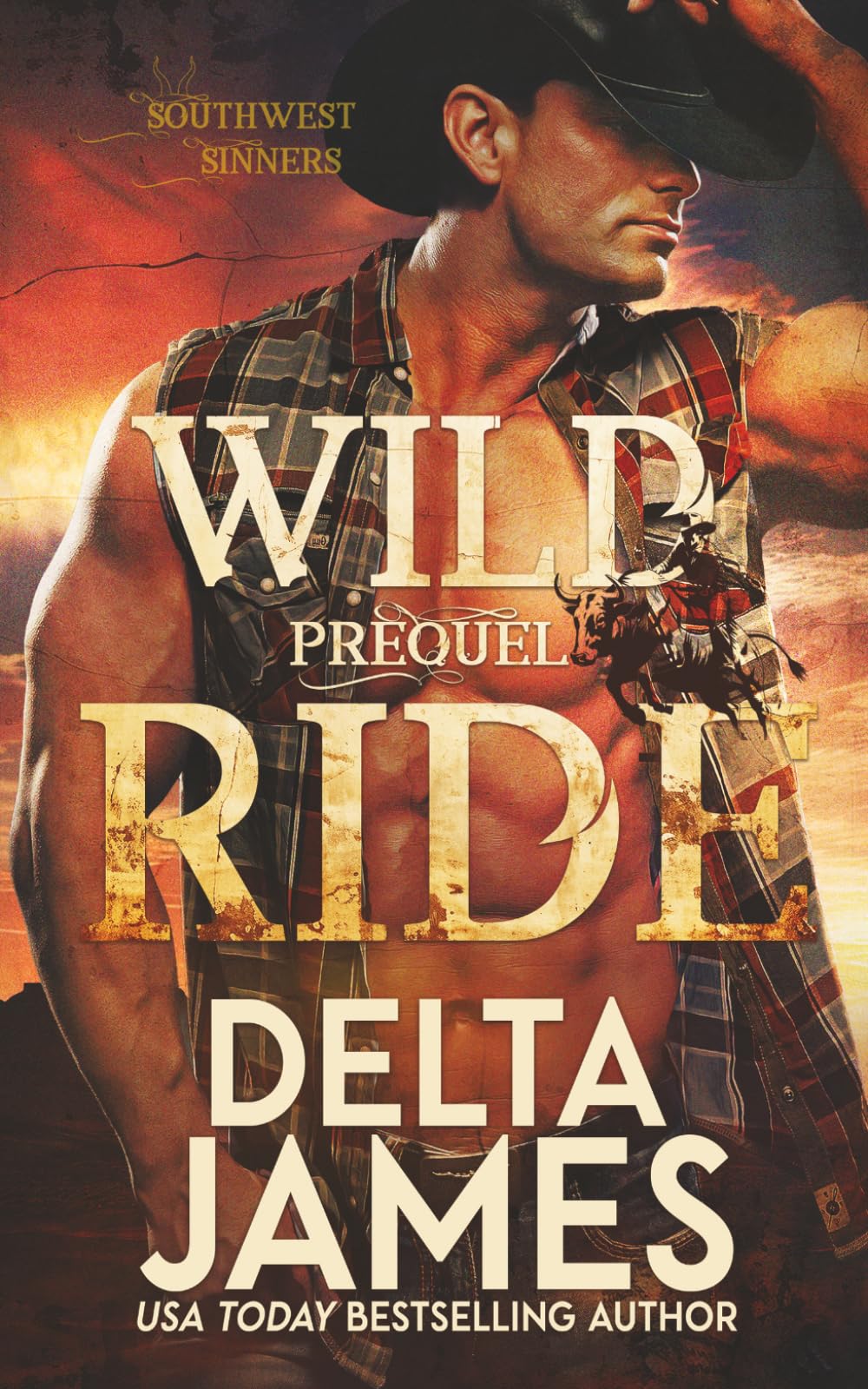 Wild Ride A Southwest Sinners Prequel: A Dark Western Romantic Suspense