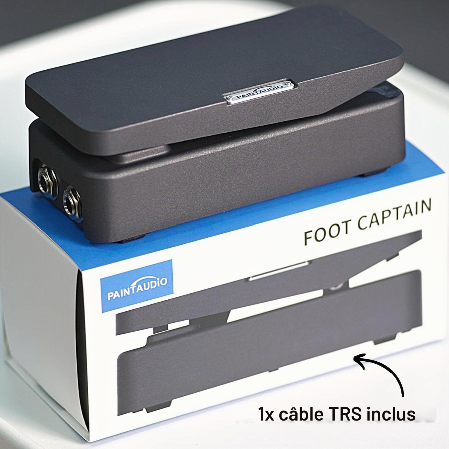 Paint Audio Foot Captain Pédale d'expression multi-effets compatible avec connexion pointe/anneau (Foot Captain)