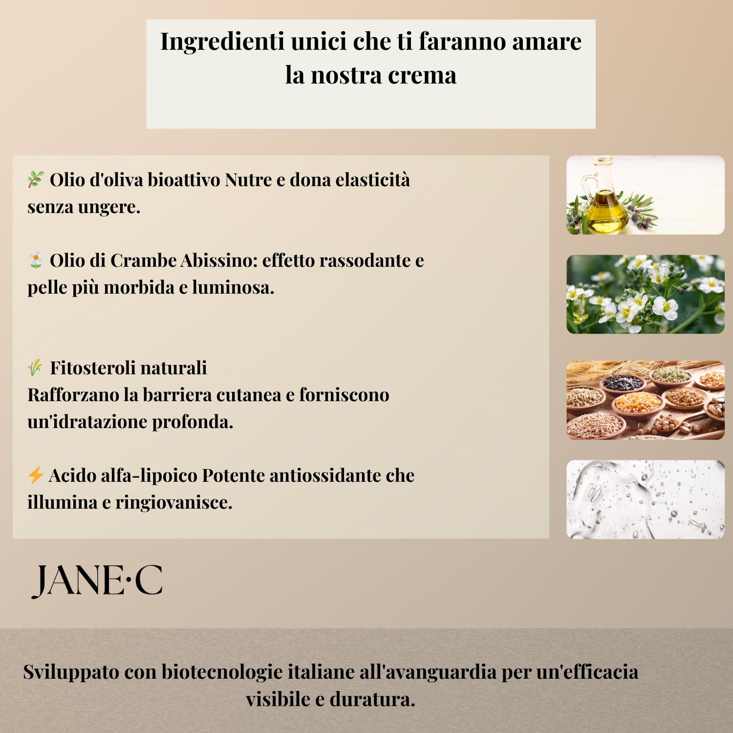 JANE•C Crema Viso Notte Antirughe – Crema Notte Rigenerante e Levigante, Anti-Age Intensiva con Retinolo, Coenzima Q10, Centella Asiatica e Fosfolipidi – Skincare Coreana – 50 ml – Made in Italy
