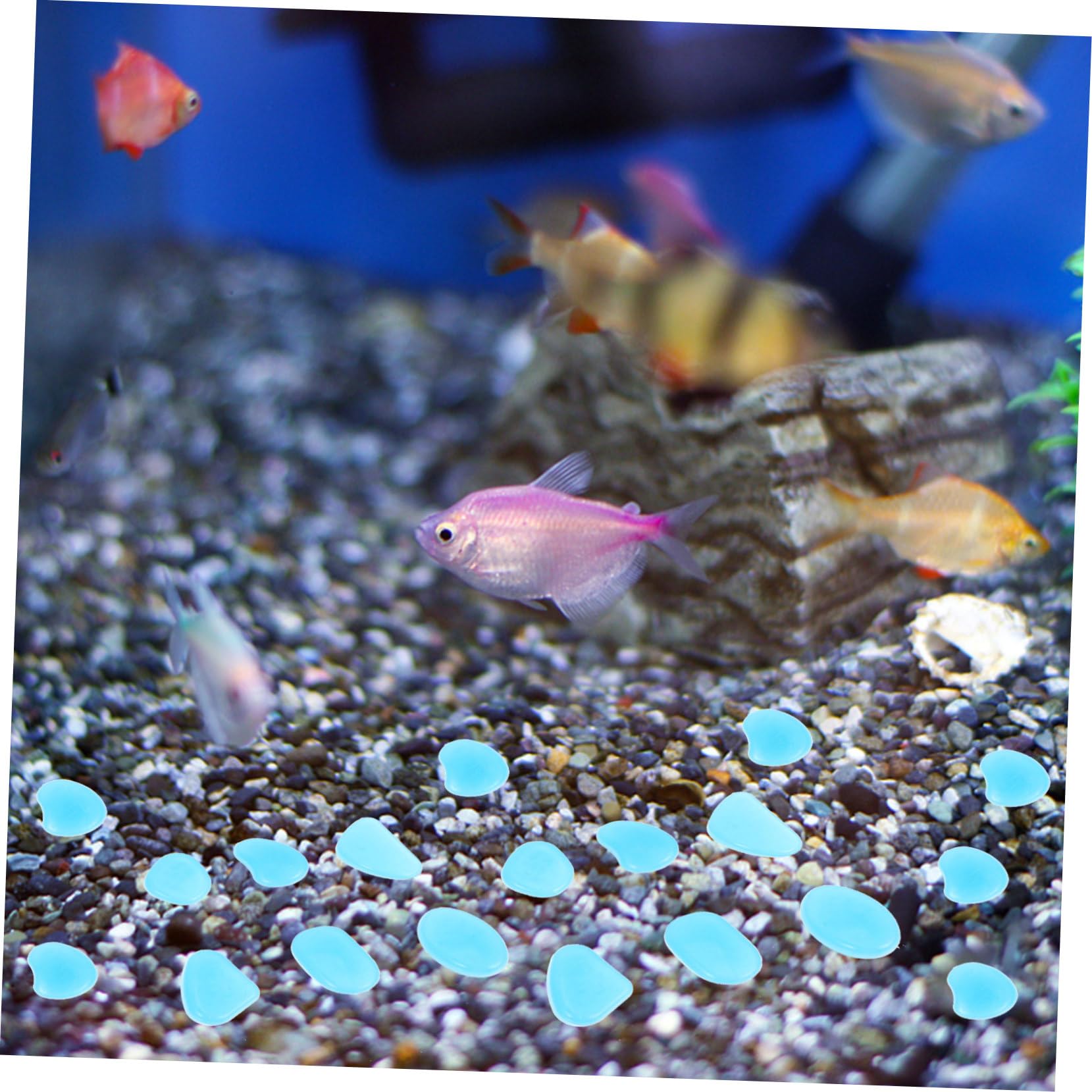 Yardwe 3 Set Ciottoli Pesci D'acquario Ciottoli Del Serbatoio Di Pesce Rocce Luminose Pietre Decorative Pietra Luminosa Pietra Decorativa Dell'acquario Resina Blue 300 Pezzi * 3