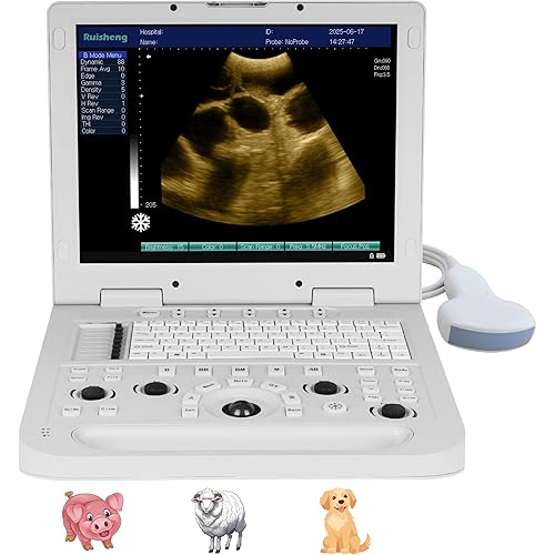 N20 Notebook Veterinary Ultrasound Machine is Equipped with a 3.5MHz Convex Array Probe and can be Used to detect Pregnancy and Diseases in Dogs, Sheep, Pigs and Other Animals.