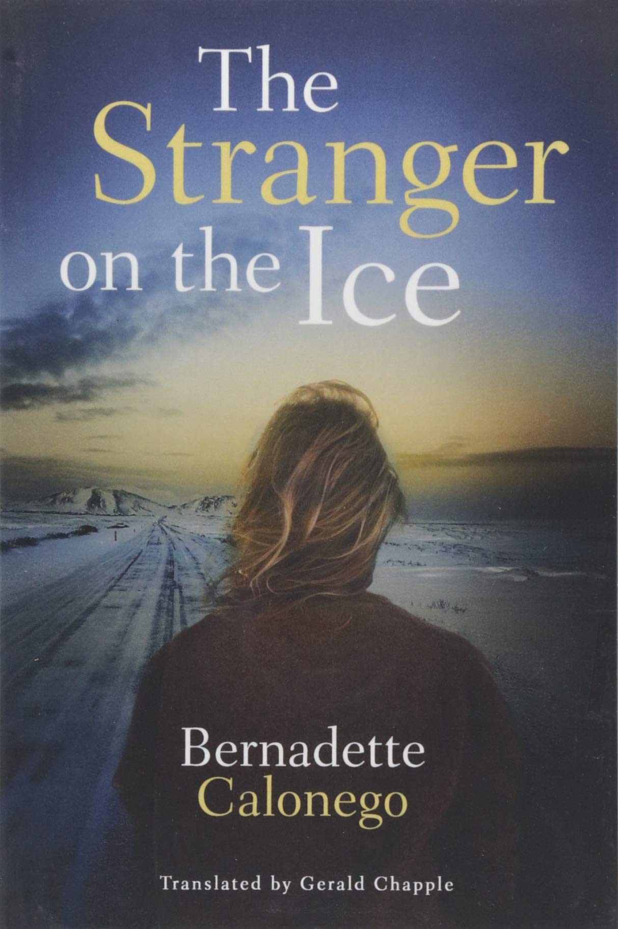 Buy The Stranger on the Ice — BookShops.in