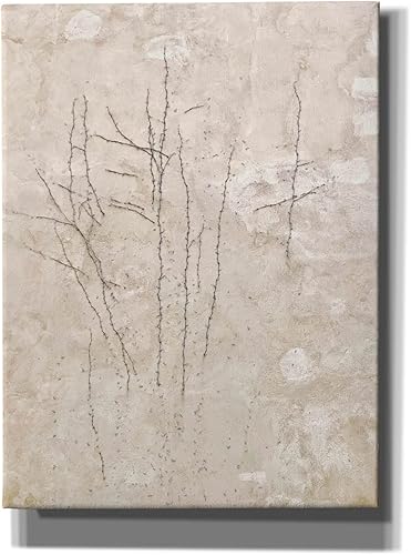 Miniatura 9 de Epic Graffiti 'Stucco Minus Vine 3' by IMB, Canvas Wall Art, 40"x54"