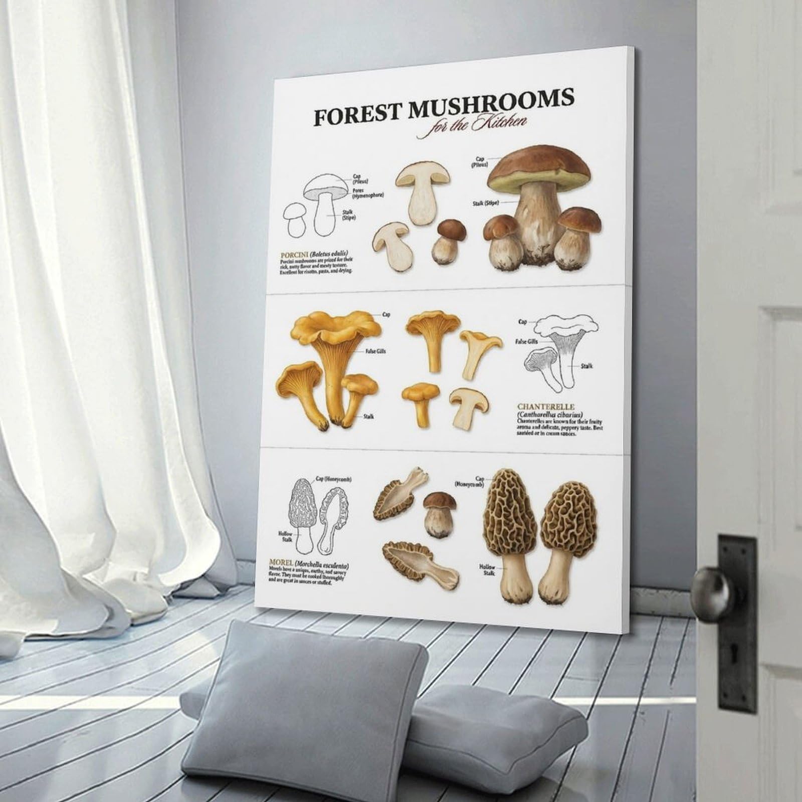 XKUGA Pilz-Poster, Motiv: Steinpilze, Pfifferlinge, Morchel, modern, dekorativ, Leinwanddruck, ideale Wandkunst für Familie, Männerhöhle, Spielzimmer, Jungen- und Mädchenzimmer, 50 x 75 cm