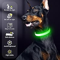 Vista 6 de Collar de perro con luz LED, recargable por USB, tamaño ajustable, correas de nailon TPU resistentes, collares básicos de seguridad para perros