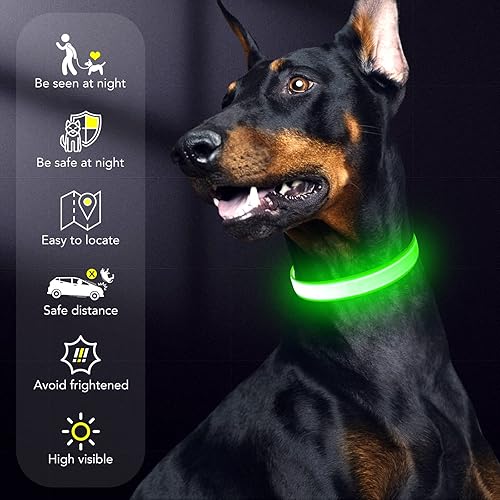 Miniatura 6 de Collar de perro con luz LED, recargable por USB, tamaño ajustable, correas de nailon resistente, collares básicos de seguridad para perros grandes y