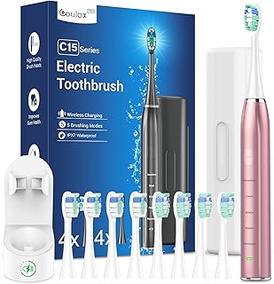 Elektrische Zahnbürste Schallzahnbürste für Erwachsene - Whitening Ultraschall Zahnbürsten Elektrisch mit Reiseetui und Ladestation, Electric Toothbrush Mit 8 Bürstenköpfe, 5 Putzmodi, Roségold