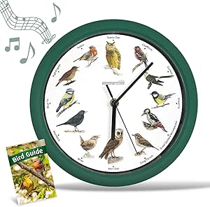 Stille wandklok, vogel zang klok, chique wandklokken, met 12 lokale zangvogels, originele natuurfoto's, woondecoratie, decoratieve klok, geruisloos, geschikt voor woonkamer en slaapkamer. (zwart Stille wandklok, vogel zang klok, chique wandklokken, met 12 lokale zangvogels, originele natuurfoto's, woondecoratie, decoratieve klok, geruisloos, geschikt voor woonkamer en slaapkamer. (zwart