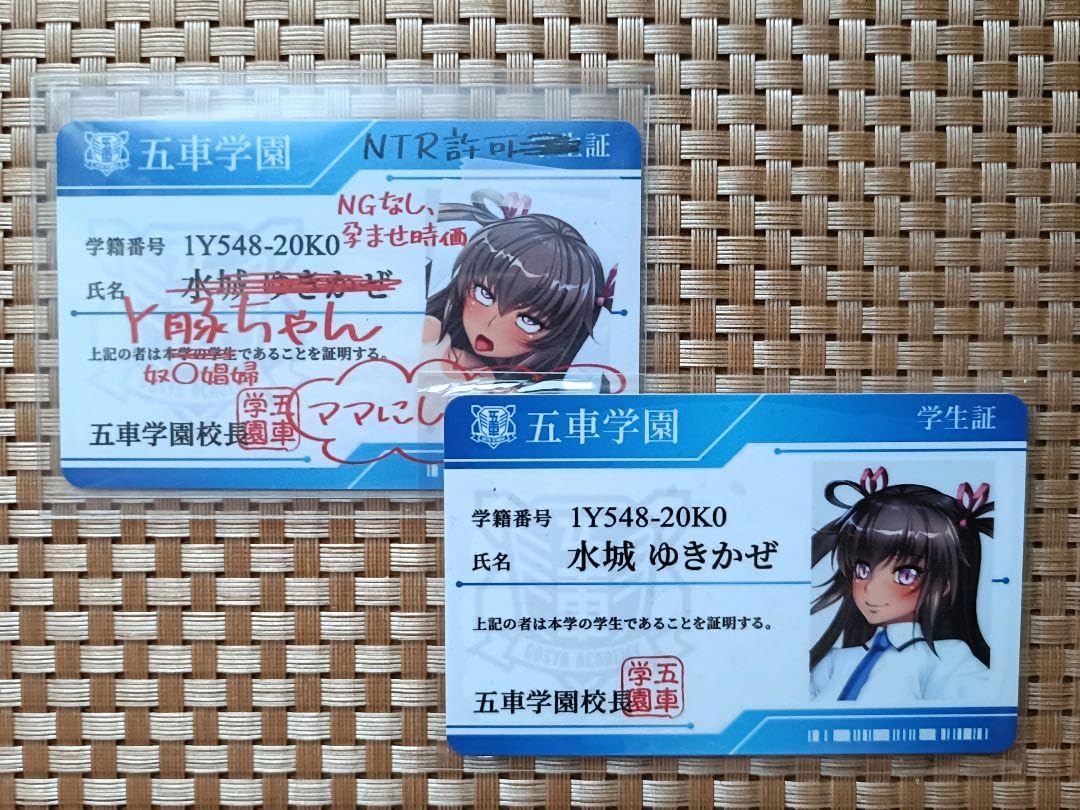 Amazon.co.jp: 五車学園 対魔忍養成機関 学生証 水城ゆきかぜ 対魔忍