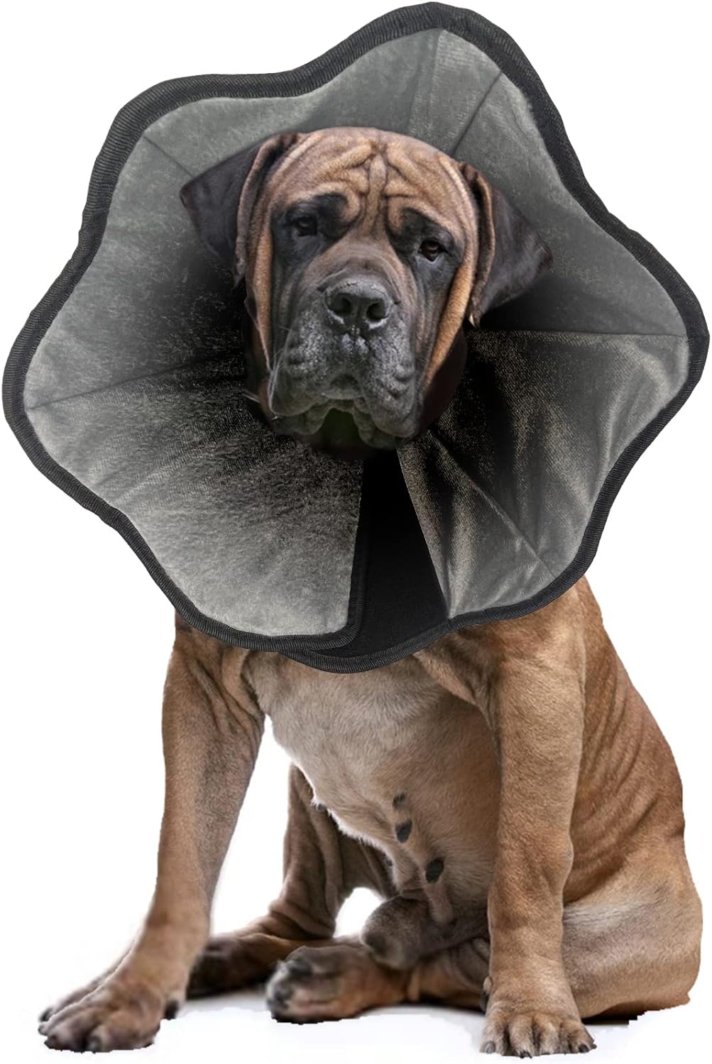 TIALOVE Soft Dog Cone