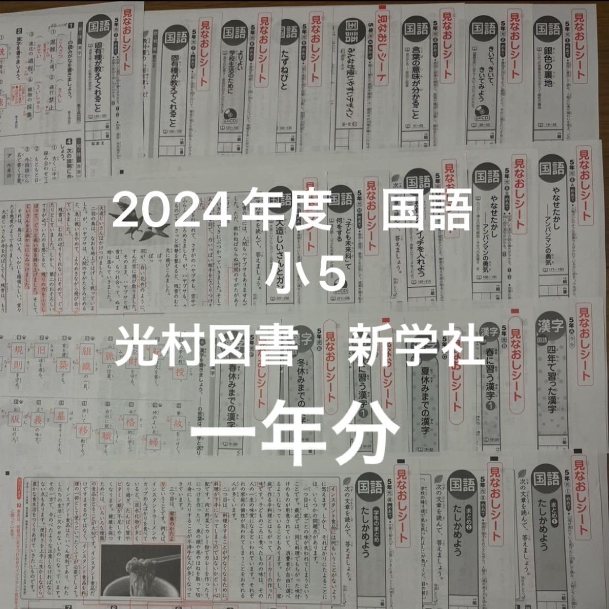 国語 α 前期 5年 カラーテスト 新学社 『未使用』 国語 α 前期 5年 カラー