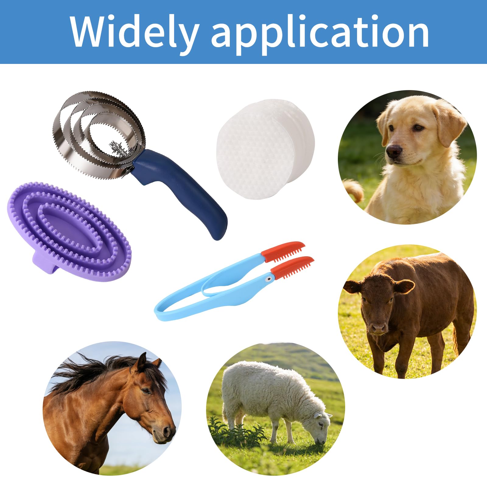 Curry Comb Kit for Horses - 4 Combs & Brush Set -7