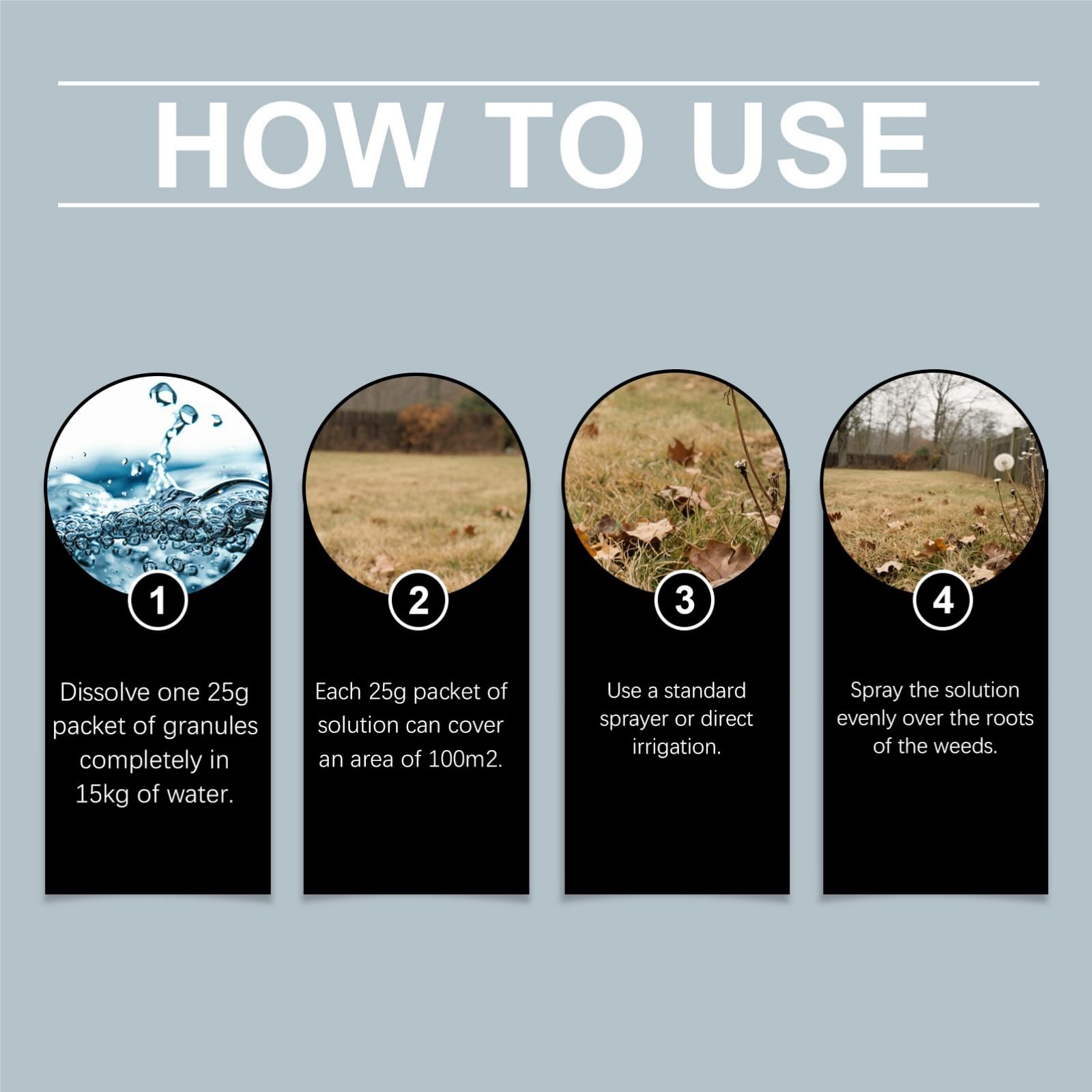 View 6
