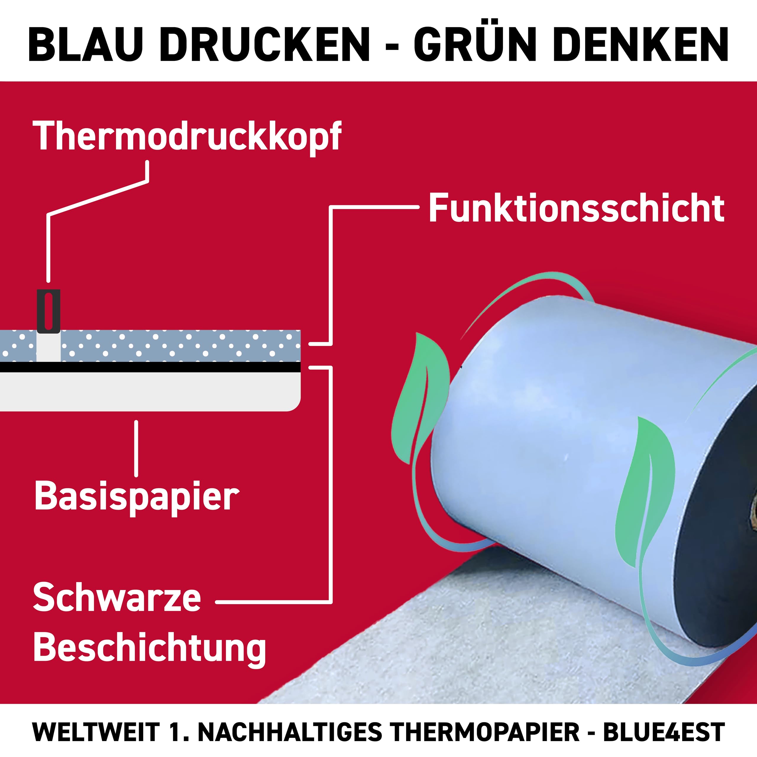 Blue4est® Öko Thermorolle 80 mm x 80 m x 12 mm - umweltfreundliches Thermopapier 52g/m² - 40 Kassenrollen mit ca. 80 mm Rollendurchmesser – Ökobon für EC-Cash und Kassenbondrucker