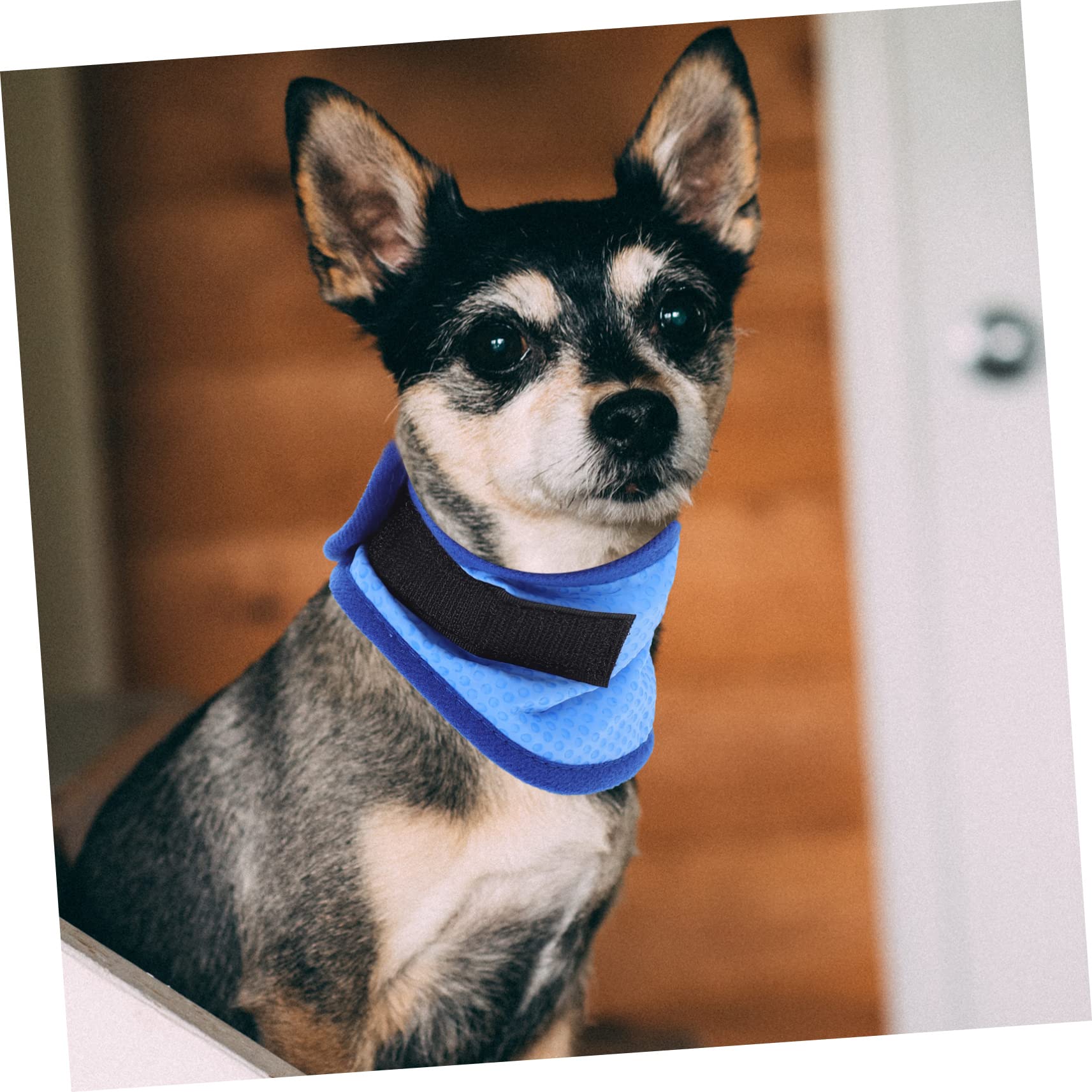 POPETPOP Lot De 4 Bandanas Rafraîchissants pour Chien Confortables Et Respirants