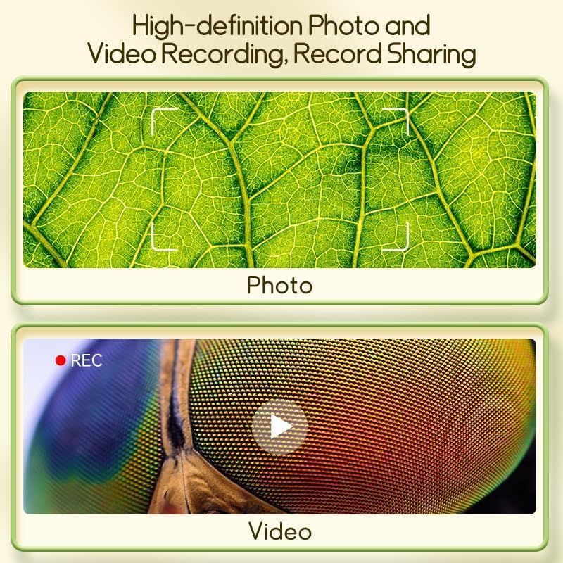 https://m.media-amazon.com/images/I/71P3FLoEUBL._AC_.jpg