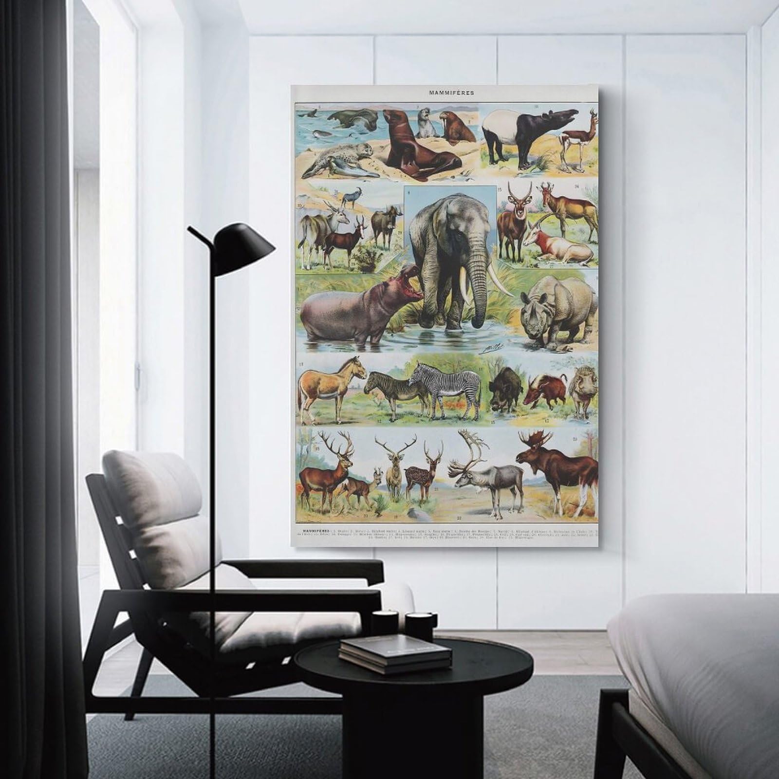 Junmoney Vintage Mammals Room Decor Wall Art, 16x24inch(40x60cm), for Hallway, Lounge Or Guest Room, Gift Idea for Housewarming And Birthdays