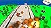 Rally Road: Crash Racing - High Speed Driving