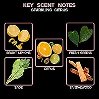 Vista 15 de LOVSPA Aceite Difusor Ocean Driftwood - Aceites Esenciales de Lujo para Recarga de Difusor y Ambientador en Aerosol para Habitaciones - Fragancia