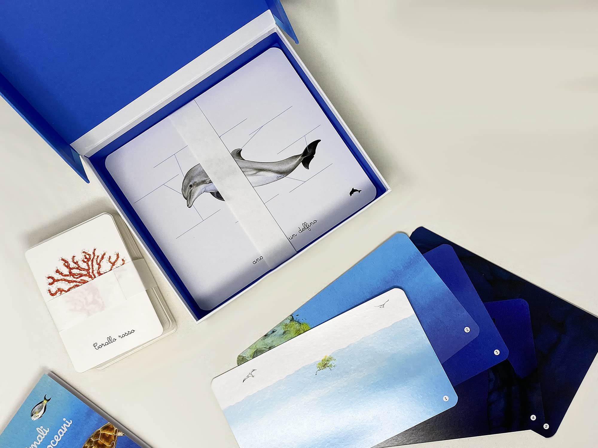 Il mio cofanetto Montessori degli oceani. Ediz. a colori. Con 90 carte degli animali. Con 5 carte degli strati dell’oceano. Con 43 etichette. Con 5 tavole anatomiche