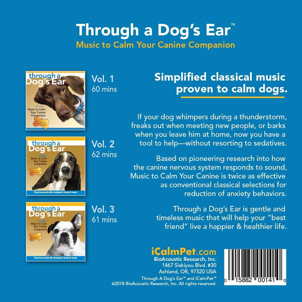 What Kind Of Music Calms Dogs Down