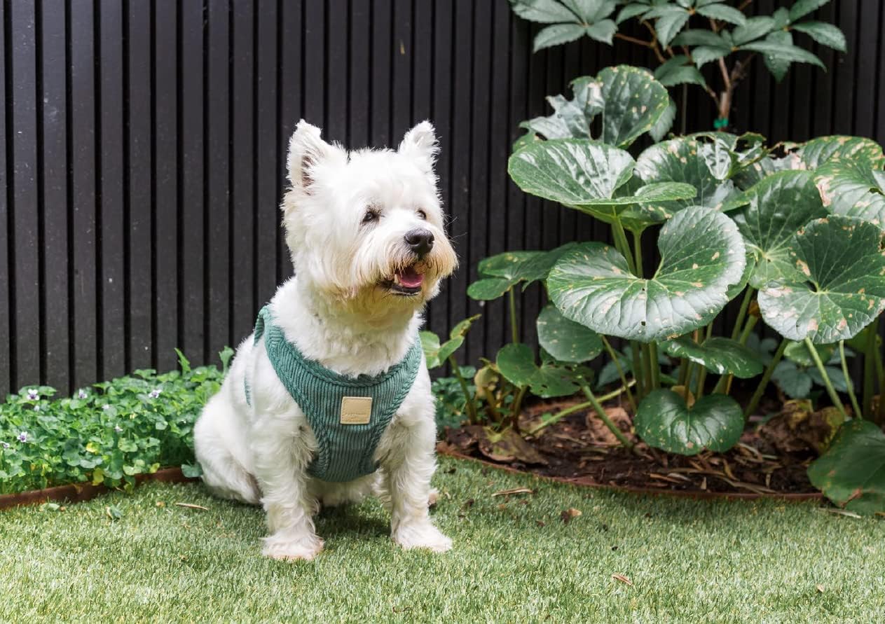 FuzzYard Life Corduroy Step in Dog Harness | Size L | Stylish Premium Corduroy Design in Myrtle Green Perfect for Everyday Walks