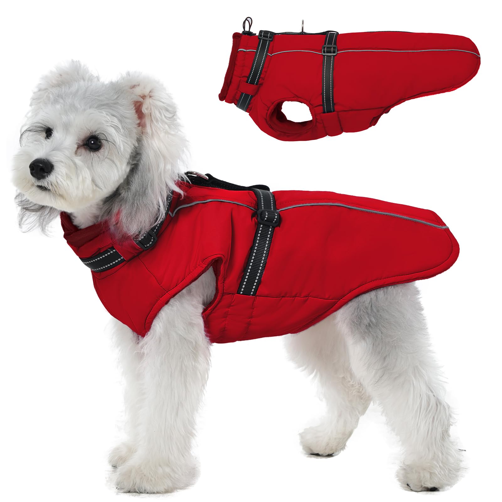 Manteau pour petit chien veste imperméable gilet réfléchissant hiver rouge