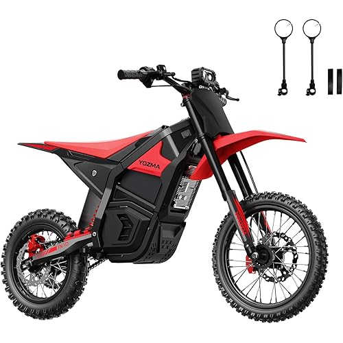 IN10 Electric Dirt Bike for Teens Adults, 2600W Mid-Drive Motor and 40MPH Electric Motorcycle with 48V/23AH Battery Ebike, Full Suspensions Mountain Off-Road E Bike, Hydraulic Brakes