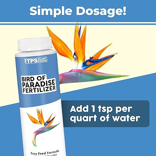 Miniatura 3 de Bird of Paradise Fertilizante para todas las plantas Strelitzia, alimento líquido para plantas, 8 oz (8.5 fl oz)