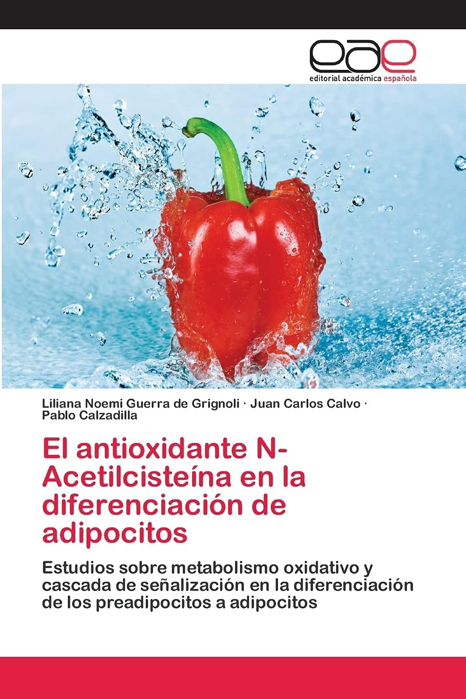 El antioxidante N-AcetilcisteĆna en la diferenciación de adipocitos: Estudios sobre metabolismo oxidativo y cascada de seƱalización en la ... preadipocitos a adipocitos (Spanish Edition) Paperback ā November 3, 2012