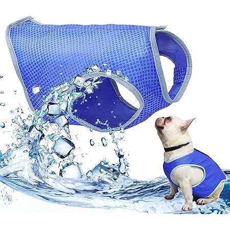 cooling vests for cats