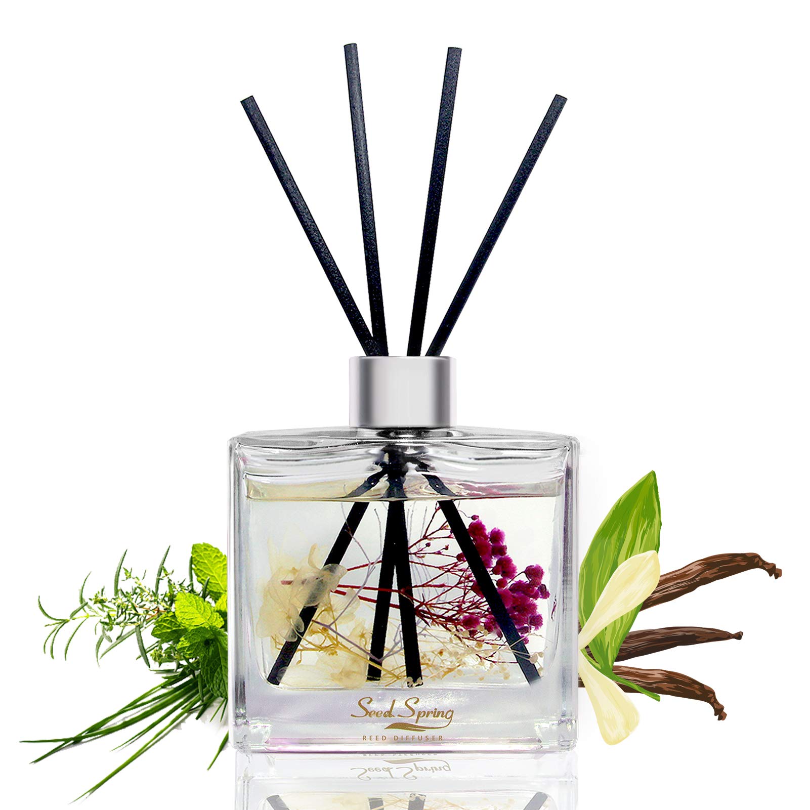 Seed Spring Creamy Vanilla Reed Diffuser with Real Vanilla Petals, 200ml, Lasts 180 days, 8 Black Nano Sticks