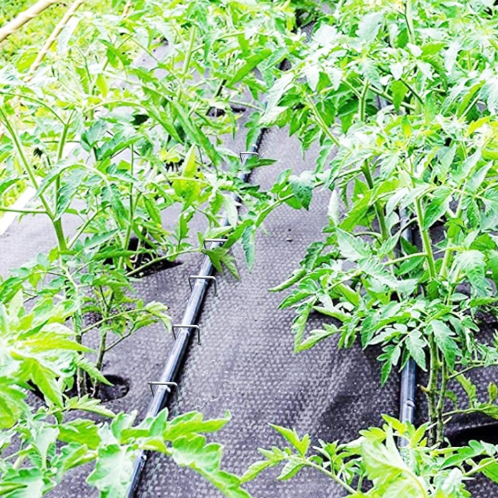 Grapas de tierra de calibre 8 de 6 pulgadas, paquete de 50 grapas de barrera de césped resistentes en U