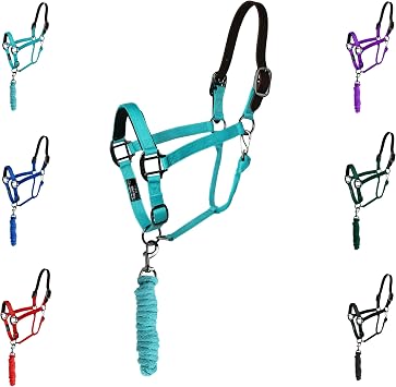 Majestic Ally Leather Halter with Matching Lead Rope for Horses Leather Breakaway Crown - Adjustable Chin Strap Rolled Throat Latch Padded Noseb Turquoise-Black Nickel, Full