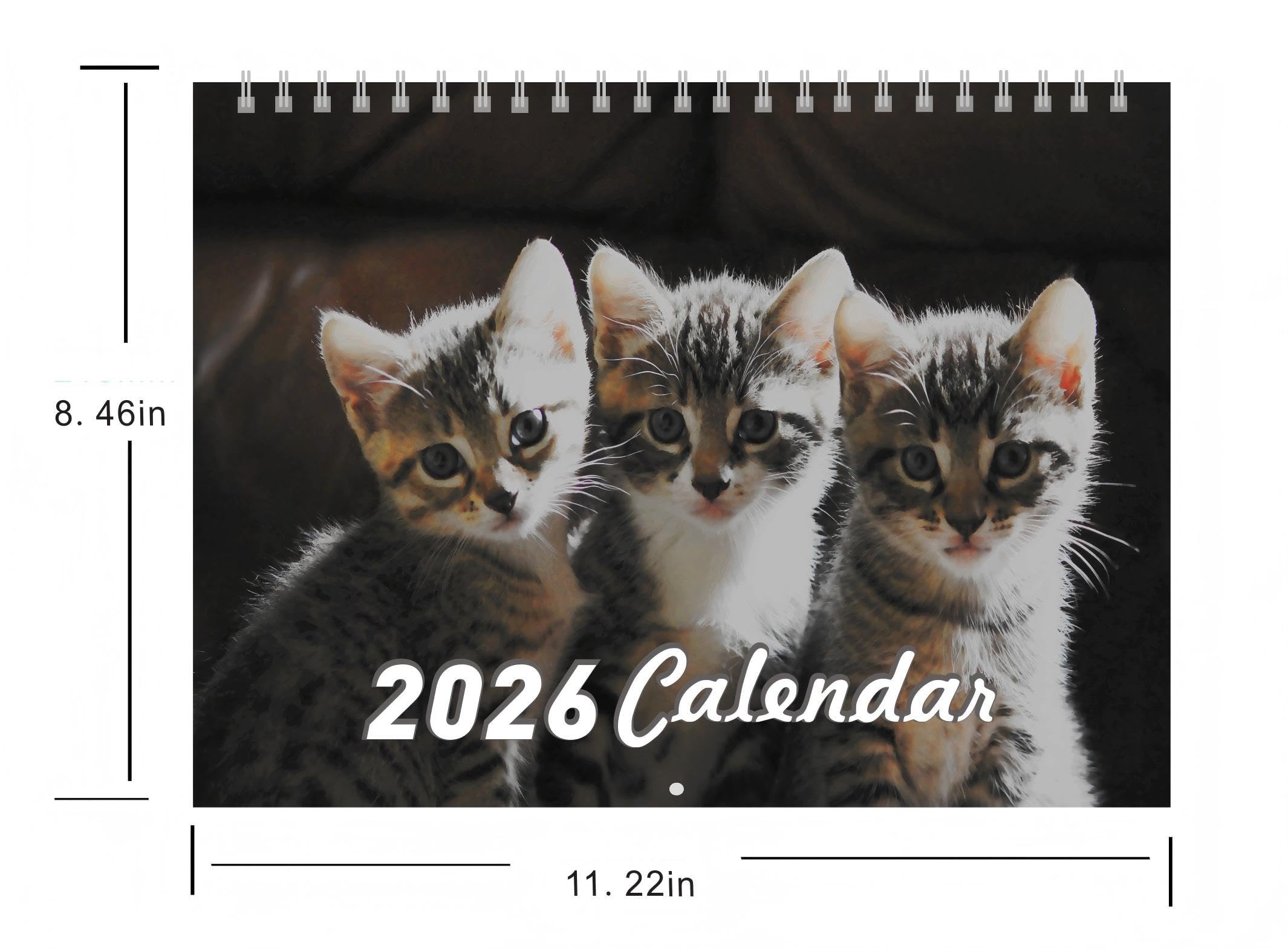 Snapklik.com : 2026 Calendar, Fluffy Kittens 2026 Wall Calendar 12 ...