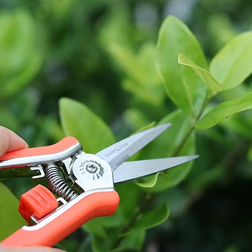 Miniatura 7 de FLORA GUARD Tijeras florales de 6.5 pulgadas, aleación de zinc con mango de goma, hoja dentada para corte rápido, adecuadas para colocación de